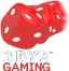 2 By 2 Gaming logo