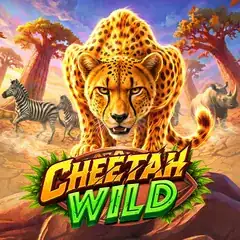 Cheetah Wild
